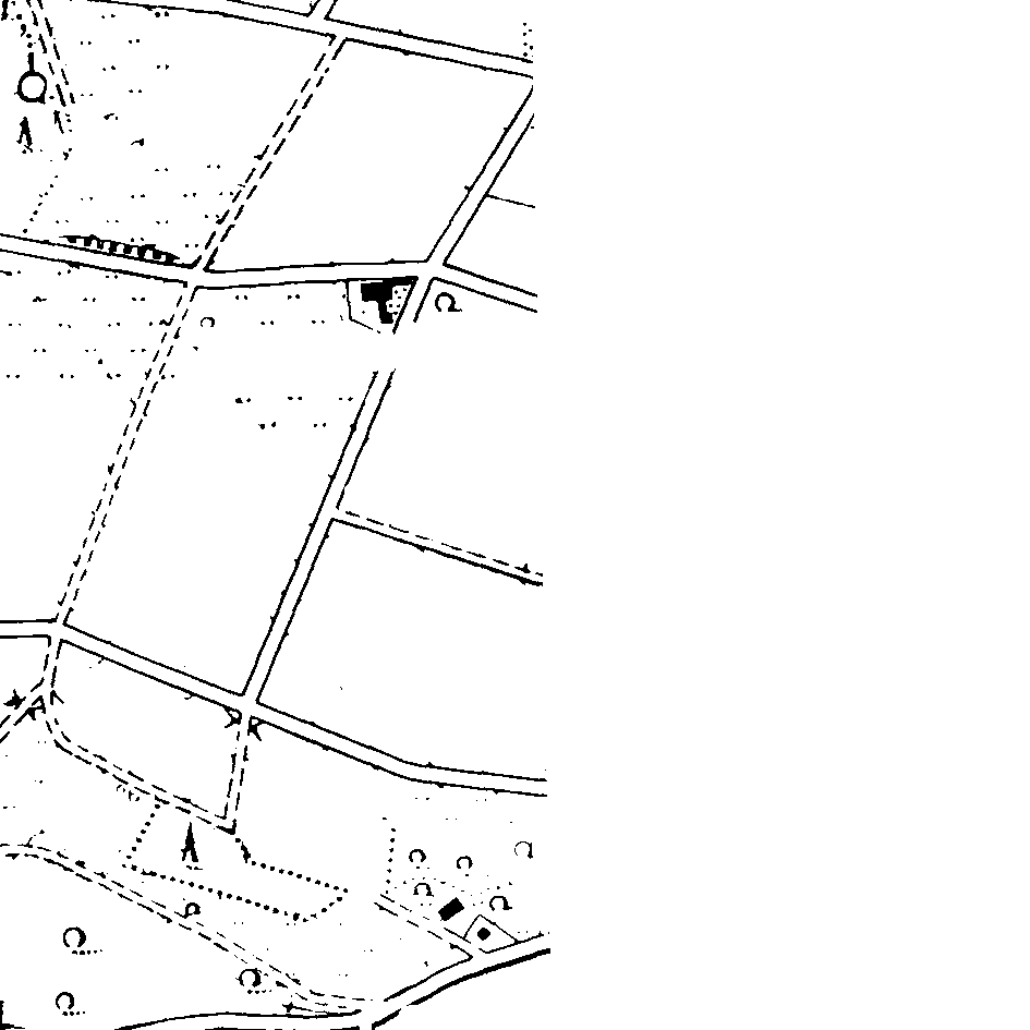 g11
